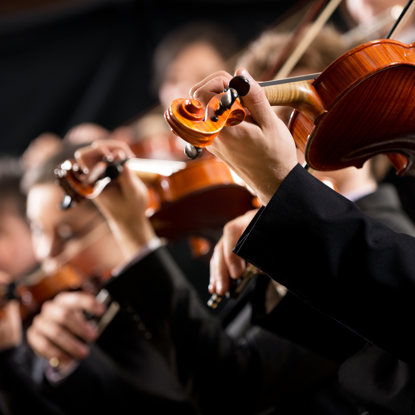 9 Musicians in an orchestra at a concert